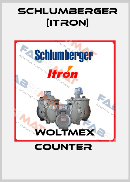 WOLTMEX COUNTER  Schlumberger [Itron]