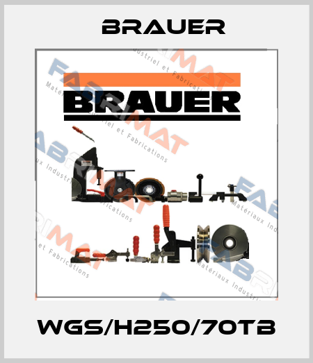 WGS/H250/70TB Brauer