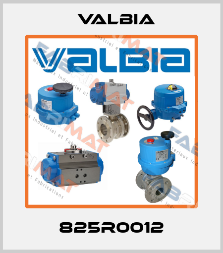 825R0012 Valbia