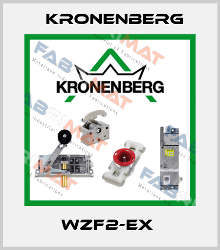 WZF2-EX  Kronenberg