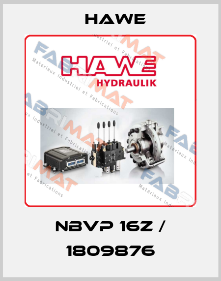 NBVP 16Z / 1809876 Hawe