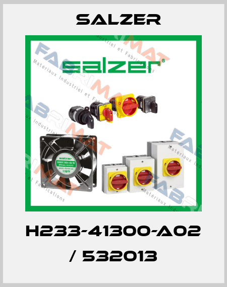 H233-41300-A02 / 532013 Salzer