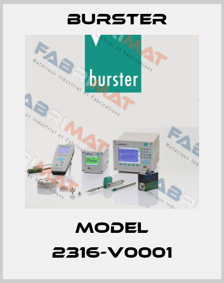 Model 2316-V0001 Burster