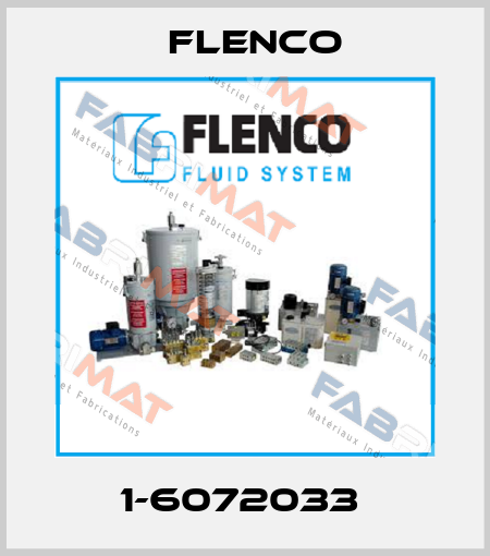 1-6072033  Flenco