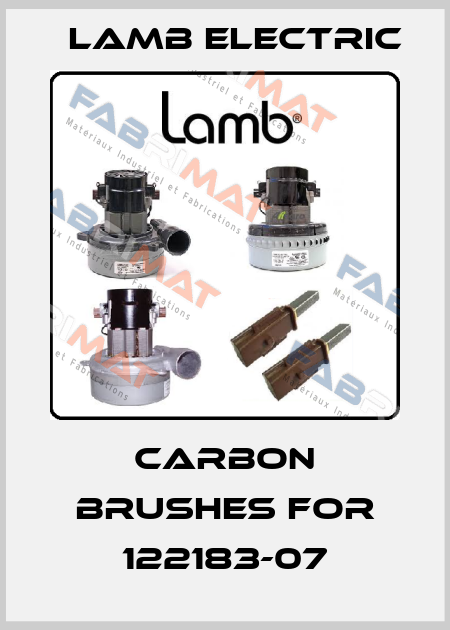carbon brushes for 122183-07 Lamb Electric