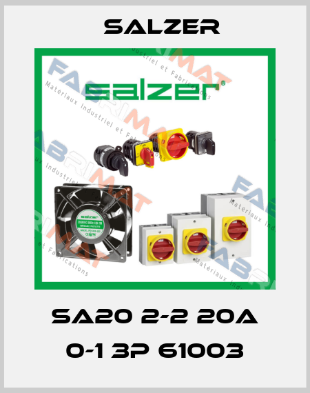 SA20 2-2 20A 0-1 3P 61003 Salzer