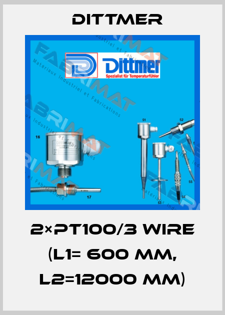 2×PT100/3 WIRE (L1= 600 mm, L2=12000 mm) Dittmer