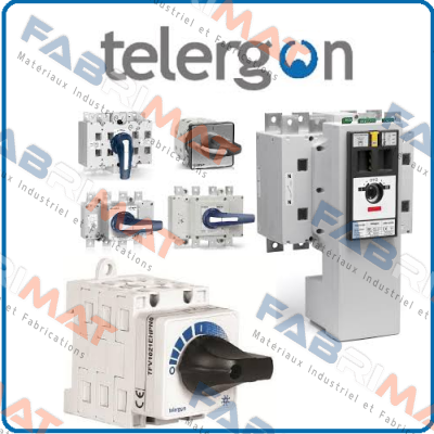 TB-002022675 Telergon