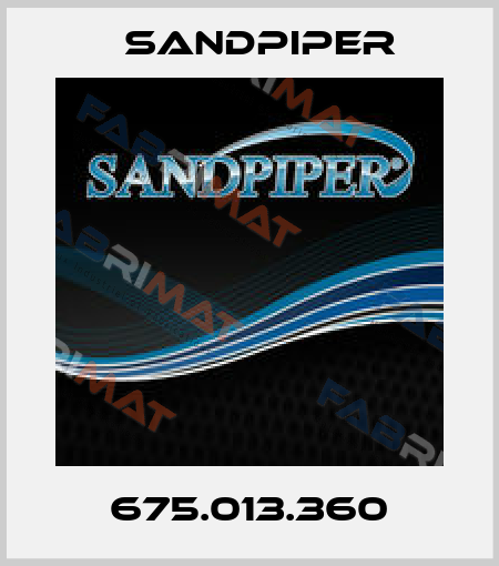 675.013.360 Sandpiper