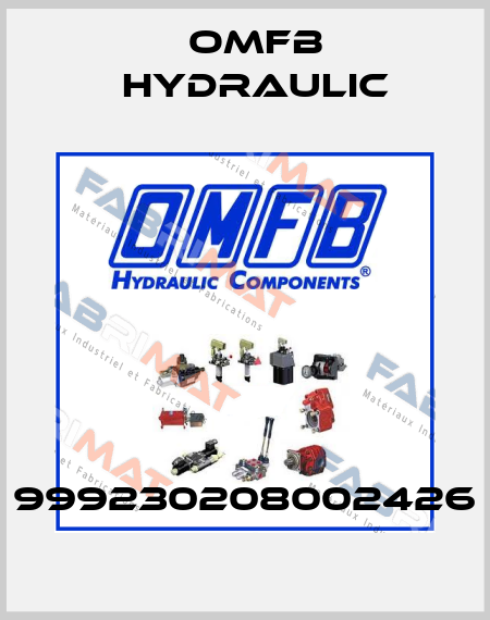 999230208002426 OMFB Hydraulic