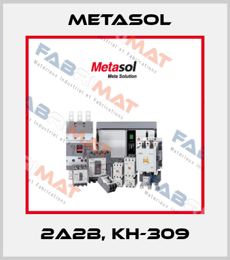 2A2B, KH-309 Metasol