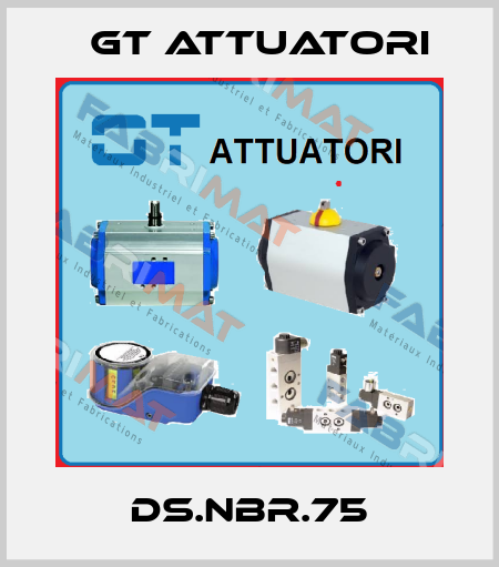DS.NBR.75 GT Attuatori