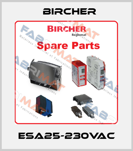 ESA25-230VAC Bircher