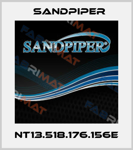 NT13.518.176.156E Sandpiper