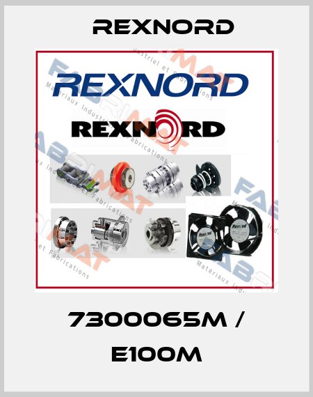 7300065M / E100M Rexnord