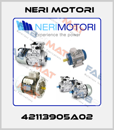 42113905A02 Neri Motori