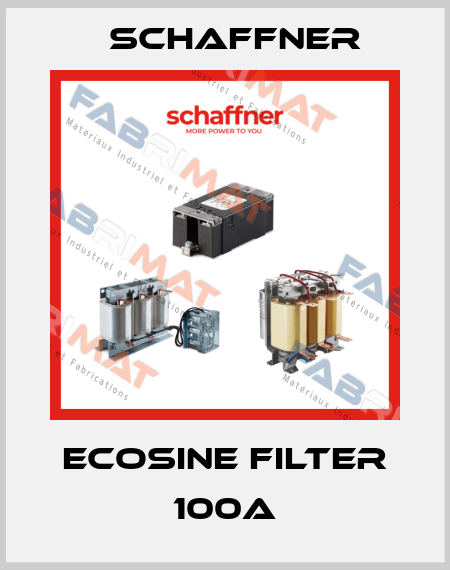 Ecosine filter 100A Schaffner