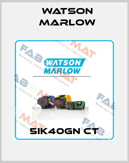 5IK40GN CT Watson Marlow