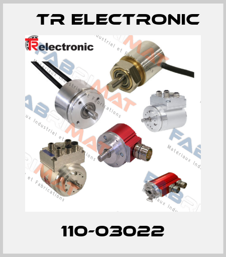 110-03022 TR Electronic