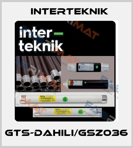 GTS-DAHILI/GSZ036 Interteknik