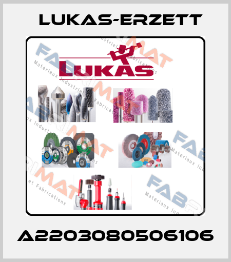A2203080506106 Lukas-Erzett