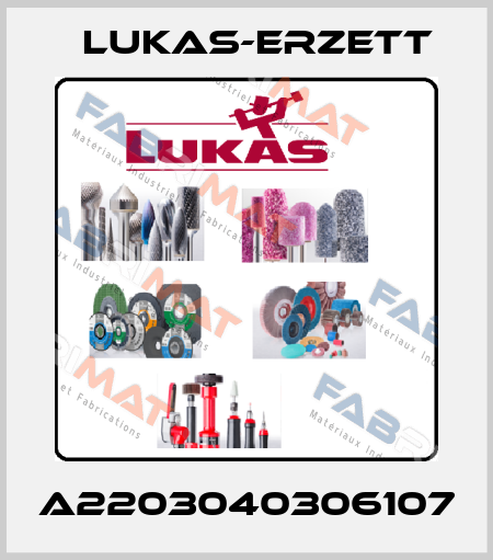 A2203040306107 Lukas-Erzett