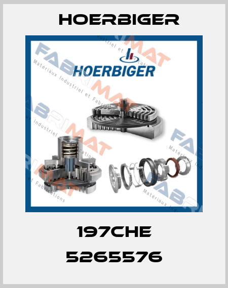 197CHE 5265576 Hoerbiger