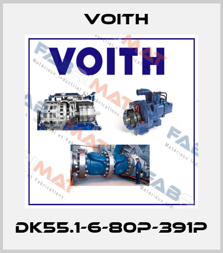 DK55.1-6-80P-391P Voith