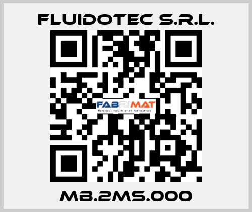 MB.2MS.000 FLUIDOTEC S.r.l.