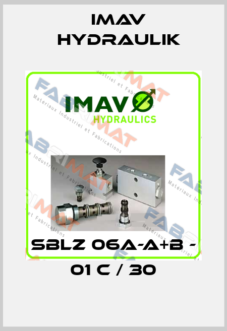 SBLZ 06A-A+B - 01 C / 30 IMAV Hydraulik