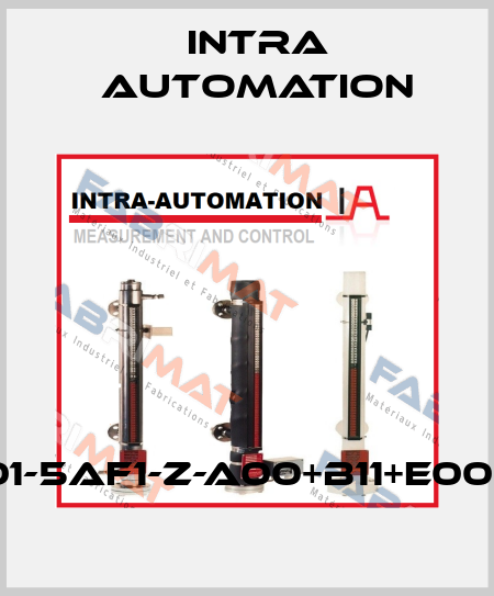 INTP340-1GM01-5AF1-Z-A00+B11+E00+F02+H01+K84 Intra Automation