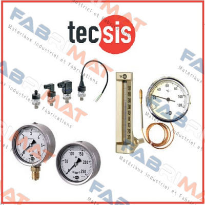 14275624 Tecsis (WIKA Group)