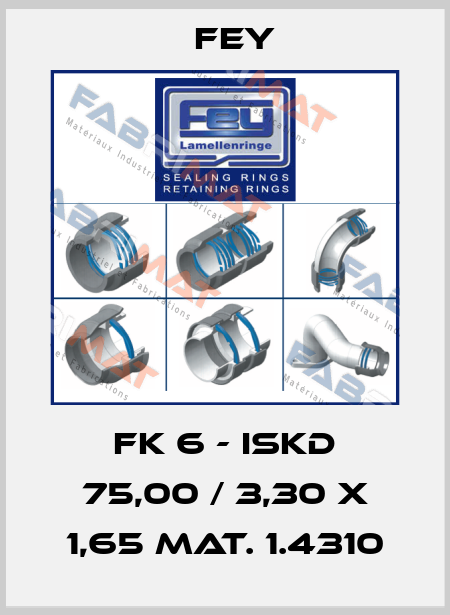 FK 6 - ISKD 75,00 / 3,30 x 1,65 Mat. 1.4310 Fey