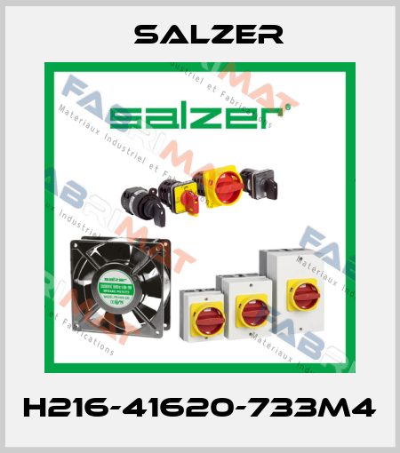 H216-41620-733M4 Salzer