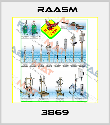 3869 Raasm