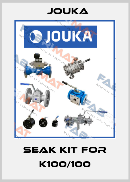 seak kit for K100/100 Jouka