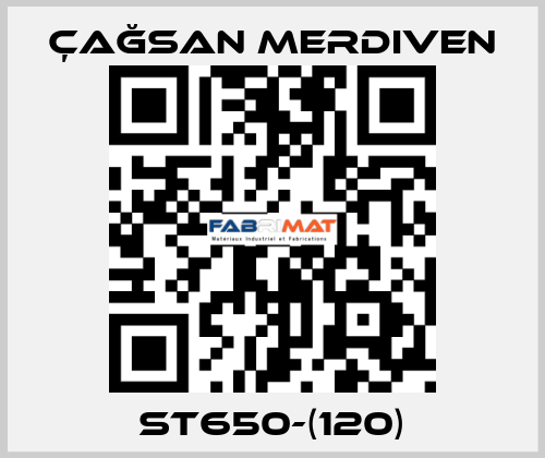 ST650-(120) Çağsan Merdiven