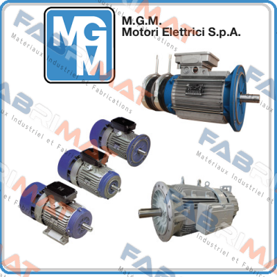 XEM50,063 400V M.G.M MOTORI