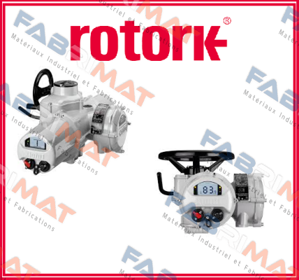 183099 Rotork