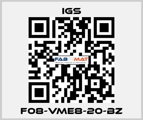 F08-VME8-20-BZ IGS