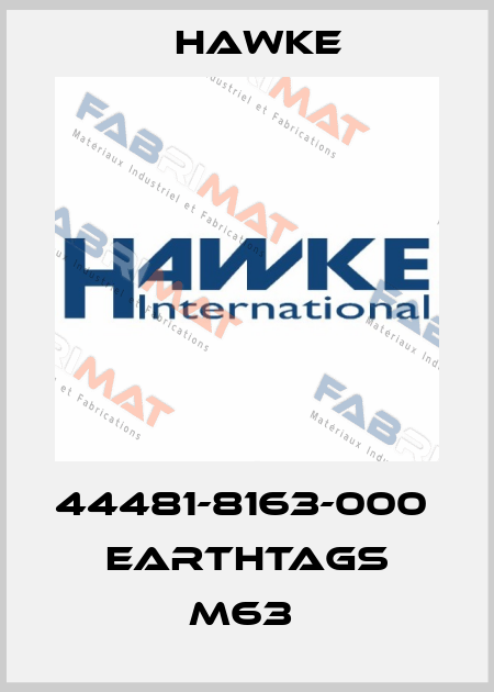 44481-8163-000  Earthtags M63  Hawke