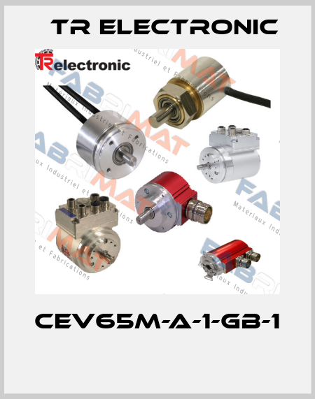 CEV65M-A-1-GB-1  TR Electronic