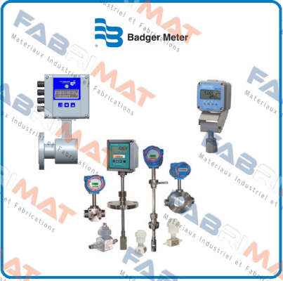 M1000/ SN: 2110-202 Badger Meter