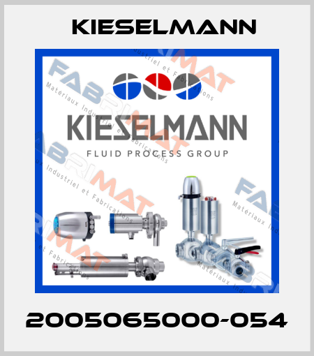 2005065000-054 Kieselmann
