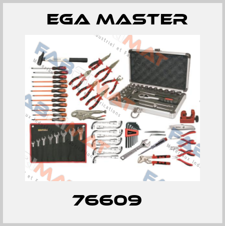 76609   EGA Master