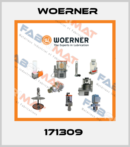 171309  Woerner