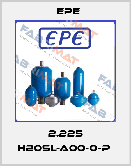 2.225 H20SL-A00-0-P  Epe