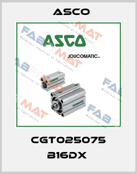 CGT025075 B16DX  Asco