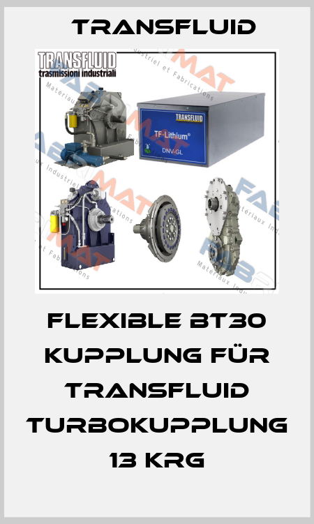 Flexible BT30 Kupplung für Transfluid Turbokupplung 13 KRG Transfluid