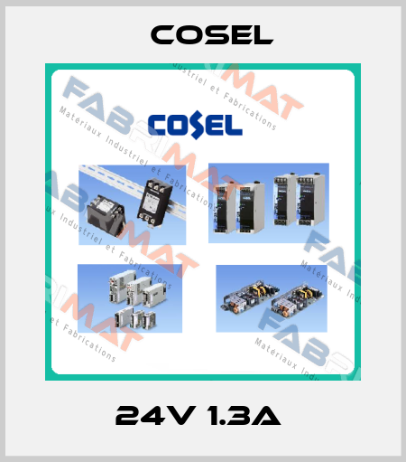 24V 1.3A  Cosel